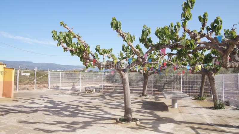 Foto e10905fe-a787-4da4-a892-552acebb95b9. Masia a tp-7225 34 a Llevant Reus