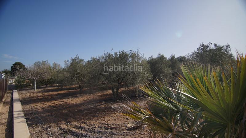 Foto f86f9dde-f62f-49ed-b1ad-5411b8816436. Masia a tp-7225 34 a Llevant Reus