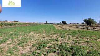 Mas à Pinilla. Venta finca crta villaralbo