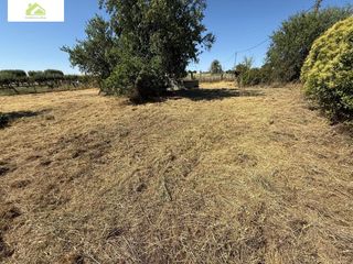 Rural plot in Morales del Vino. Parcela rústica en venta en morales del vino