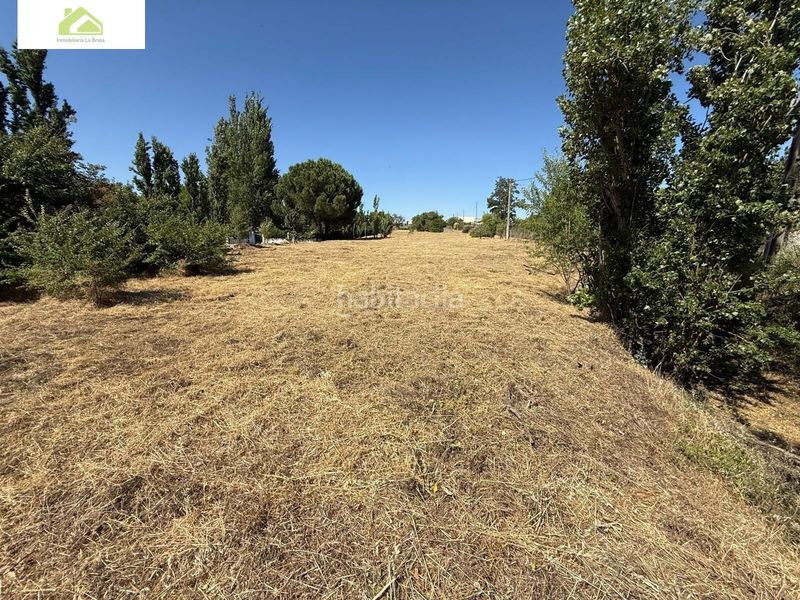 Foto e4384aa2-4839-426f-a0b3-51827b476810. Finca rústica a Morales del Vino