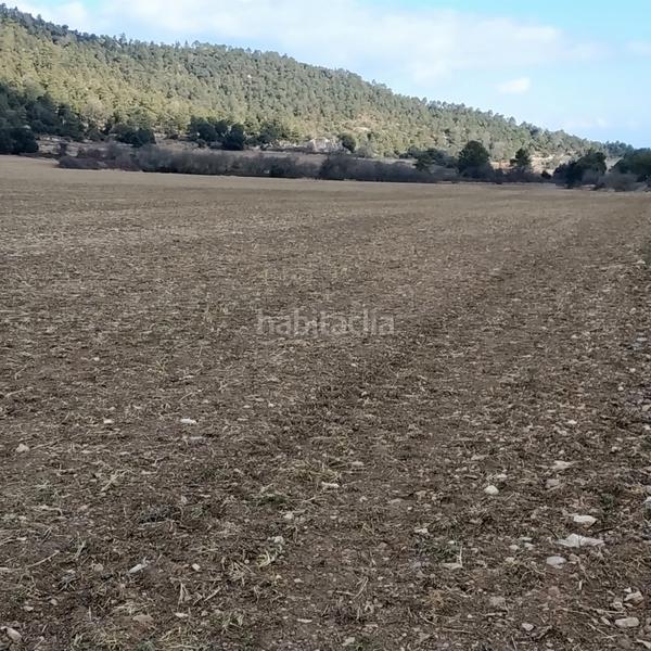 Foto 80a700f1-009e-4e8f-925e-c0d3816b6e5e. Finca rústica a Vilaplana