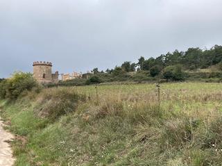 Finca rústica  Passeig de la mussara. Finca en venta en vilaplana y la mussara