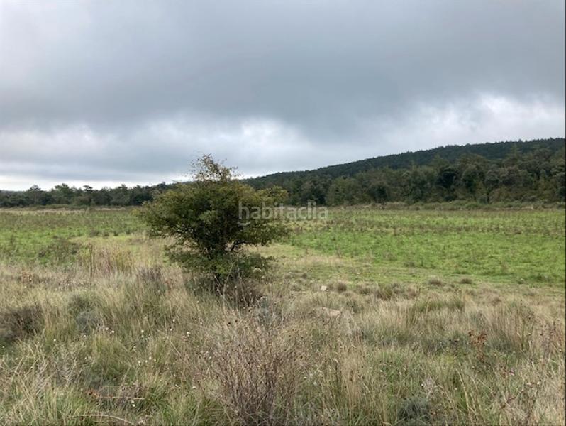 Foto e00c90d0-def6-41b5-8baf-99c362f5d283. Finca rústica a Vilaplana