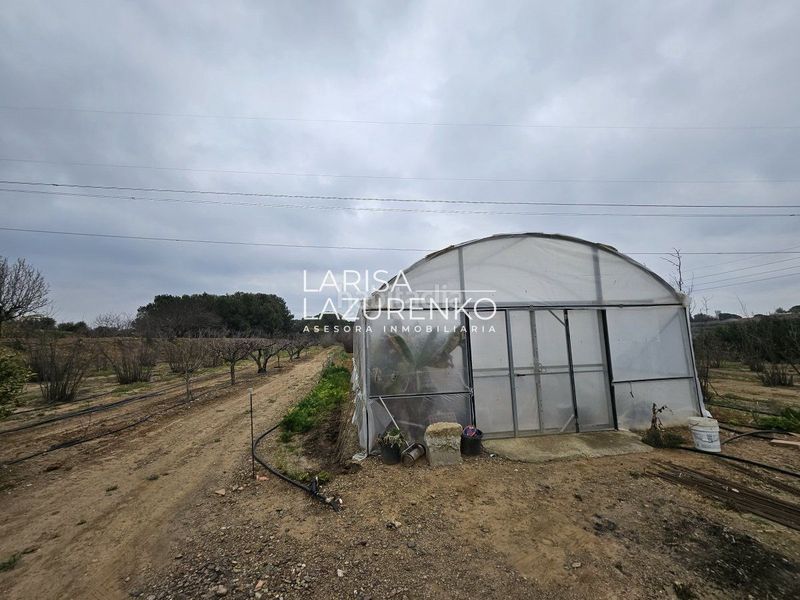 Foto 046bba88-286e-4d66-bb8e-424350f364bc. Masia a Riudoms