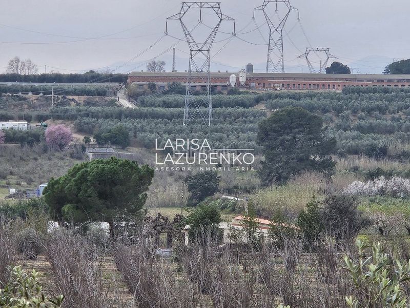 Foto 1c6de6c3-49f6-4f39-8f07-c4e7c6d56716. Masia a Riudoms
