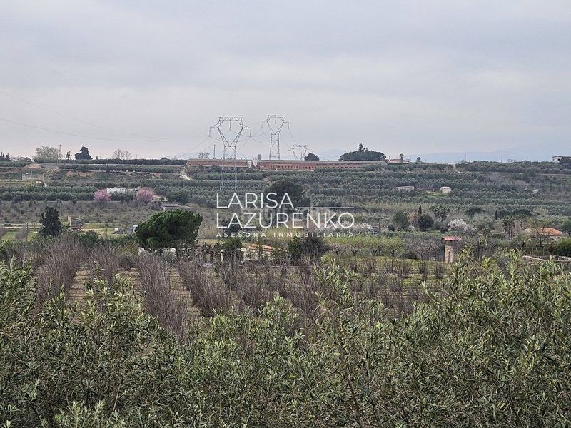 Foto 27185730-2103-4db6-b767-f3b97db92c7e. Masia a Riudoms