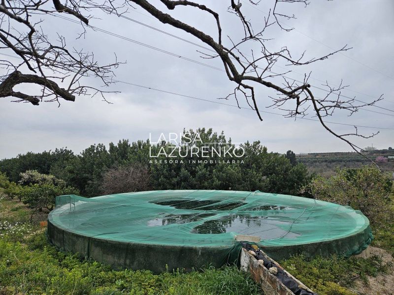 Foto 3b1d3a69-be8d-4794-a07d-f3bff1f56830. Masia a Riudoms
