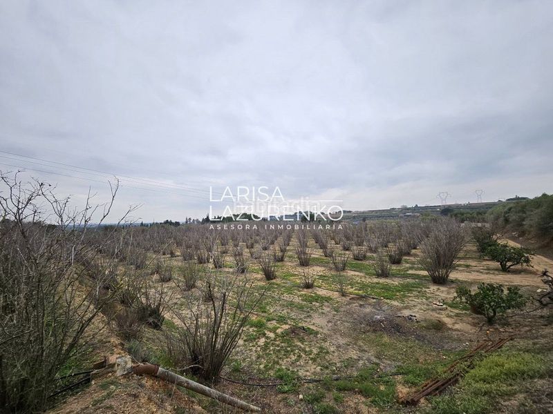 Foto 4199415b-1e8a-4224-ad96-91f8c5cf2b15. Masia a Riudoms