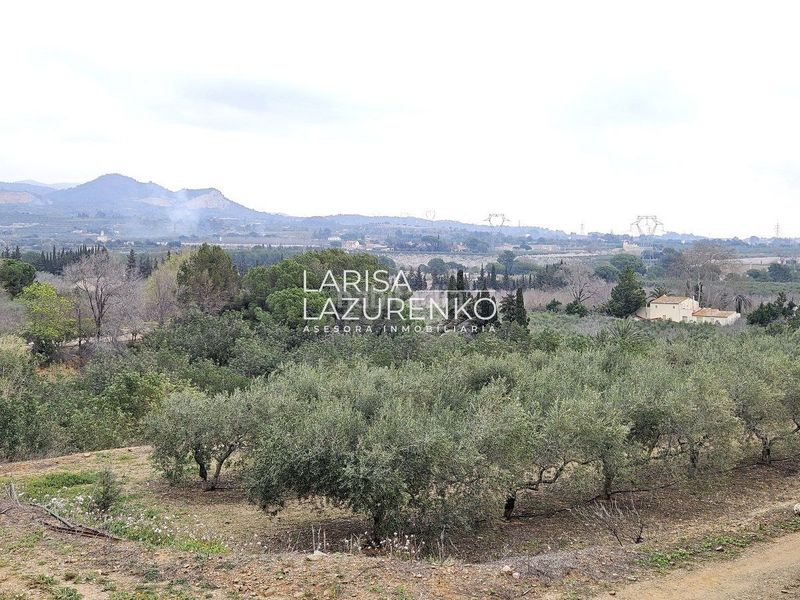 Foto 52f1b839-df26-4c79-9432-49ed7c3a4023. Masia a Riudoms