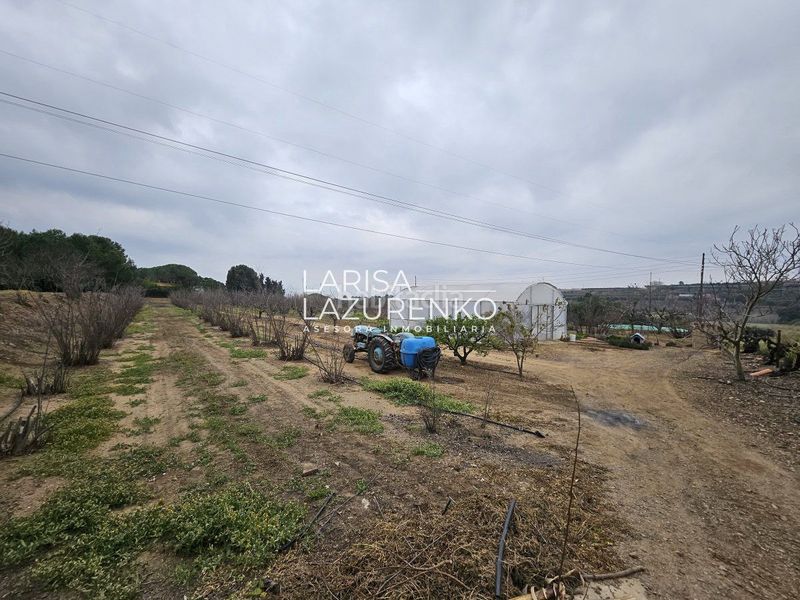 Foto 5823ae79-260e-4a0a-8ead-c96182585061. Masia a Riudoms