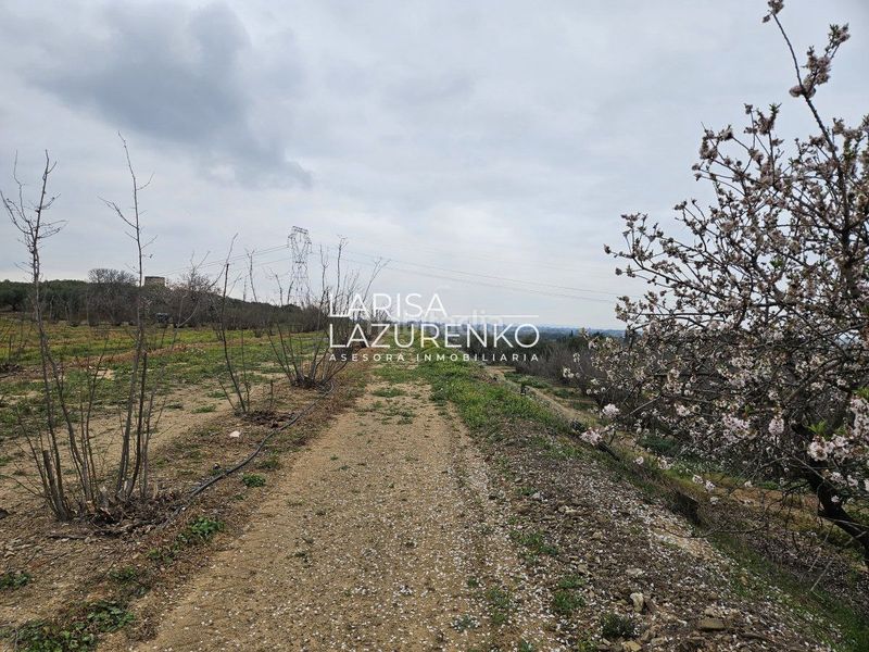 Foto 5acd9aed-18f9-40e5-aaf4-c38e1addc8e5. Masia a Riudoms
