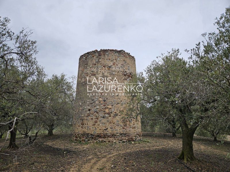 Foto 5e36461c-d0b3-496c-b984-25e623a8da59. Masia a Riudoms