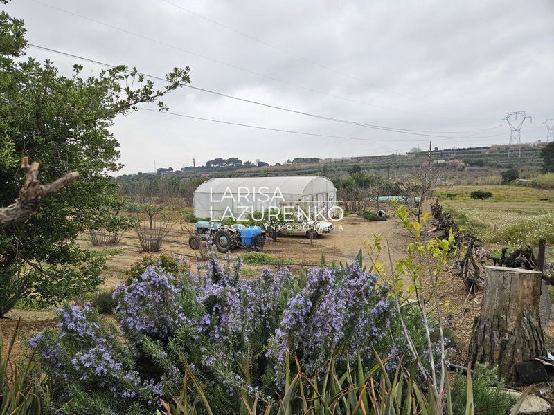 Foto 5e8fc179-200d-45de-b491-bc6c62229e78. Masia a Riudoms