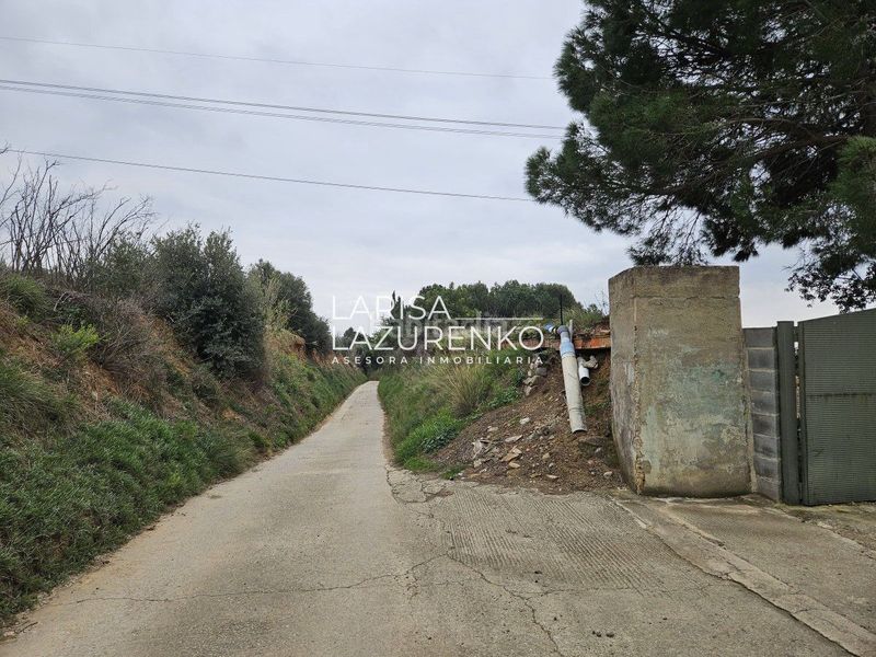 Foto 69739d04-b040-44f9-bcec-8f4d1aa76e84. Masia a Riudoms