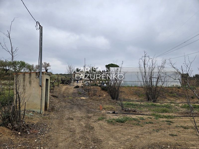 Foto 76110081-43a6-4d55-a6ab-fff8e0050dfd. Masia a Riudoms