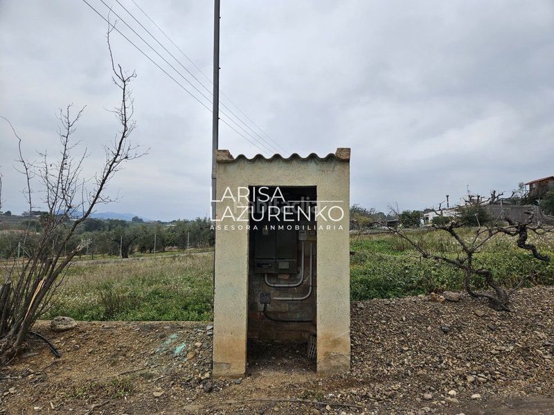 Foto 7862c17d-0bba-4a26-a905-584695ba7958. Masia a Riudoms