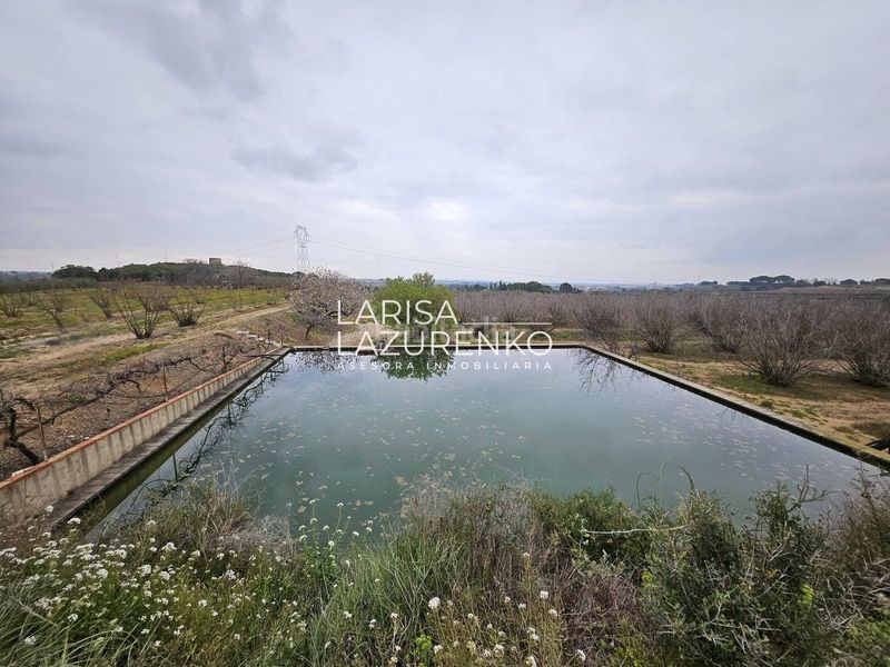 Foto 7a99aebf-28fd-444f-80c3-672b8540ac88. Masia a Riudoms