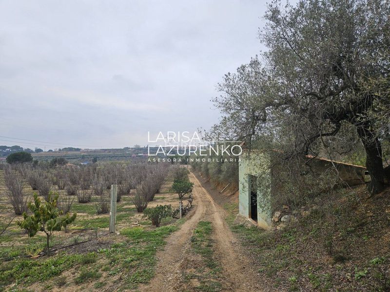 Foto 819e5c6e-eec7-4555-ad1e-16f84e37f7fe. Masia a Riudoms