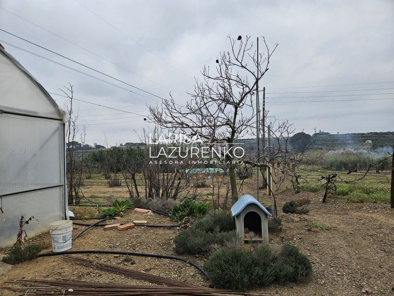 Foto 83562979-5945-45c8-99bb-5a99ad9821e1. Masia a Riudoms