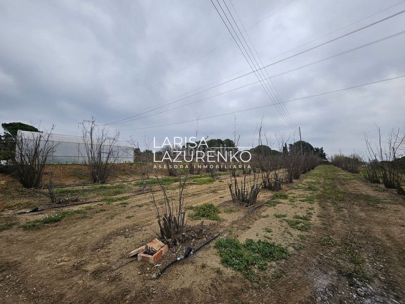 Foto 8f1d5f71-343f-408d-b999-706671143e52. Masia a Riudoms