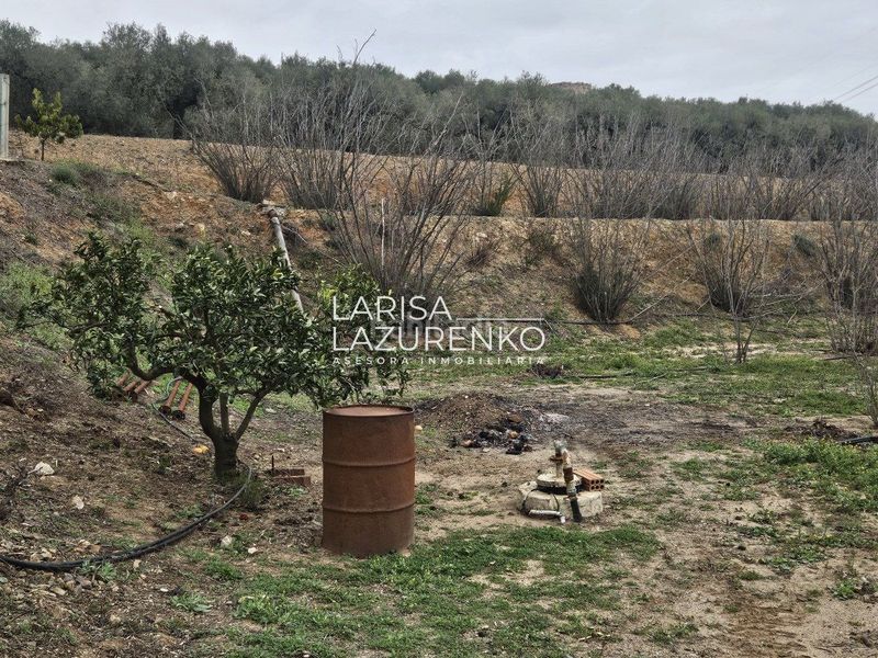Foto 8fe41e36-9f2f-4855-8ed7-feda74036d23. Masia a Riudoms