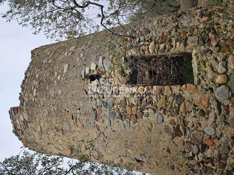 Foto 926b069f-f5d3-4c65-8bae-cb903e747d53. Masia a Riudoms