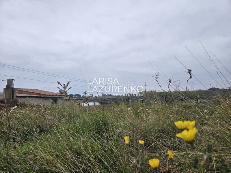 Foto 94fae4d2-1d97-496f-a724-3c661840f59c. Masia a Riudoms