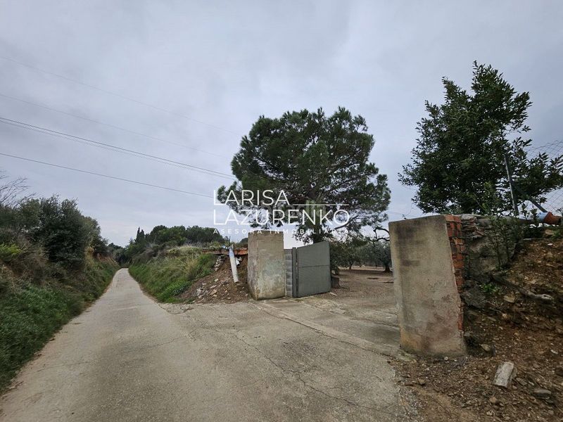Foto 9736515c-0ba8-47b1-ba57-10f434b9536a. Masia a Riudoms