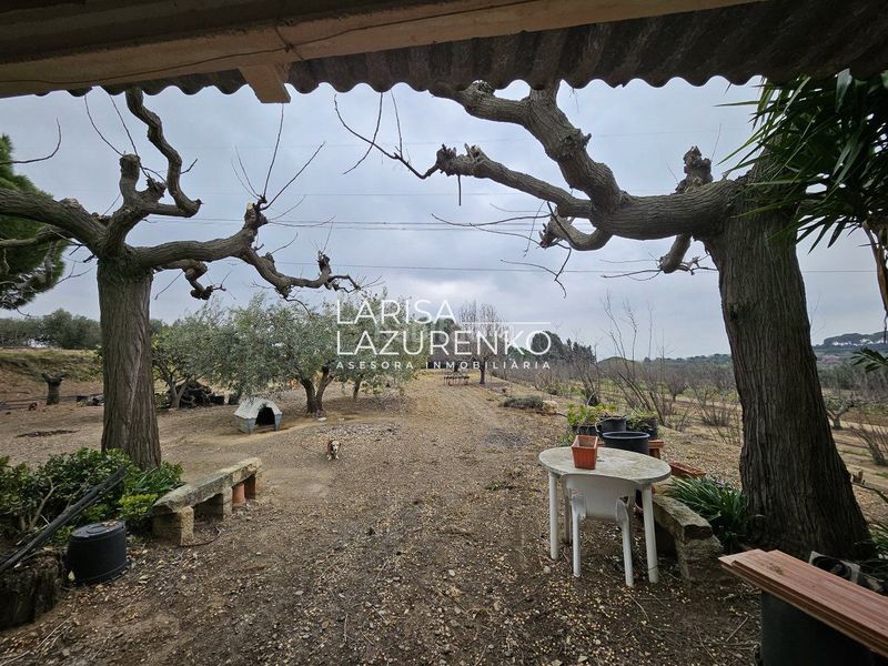 Foto 97eba59d-3721-4b0d-a34b-4d7f2cf5d060. Masia a Riudoms
