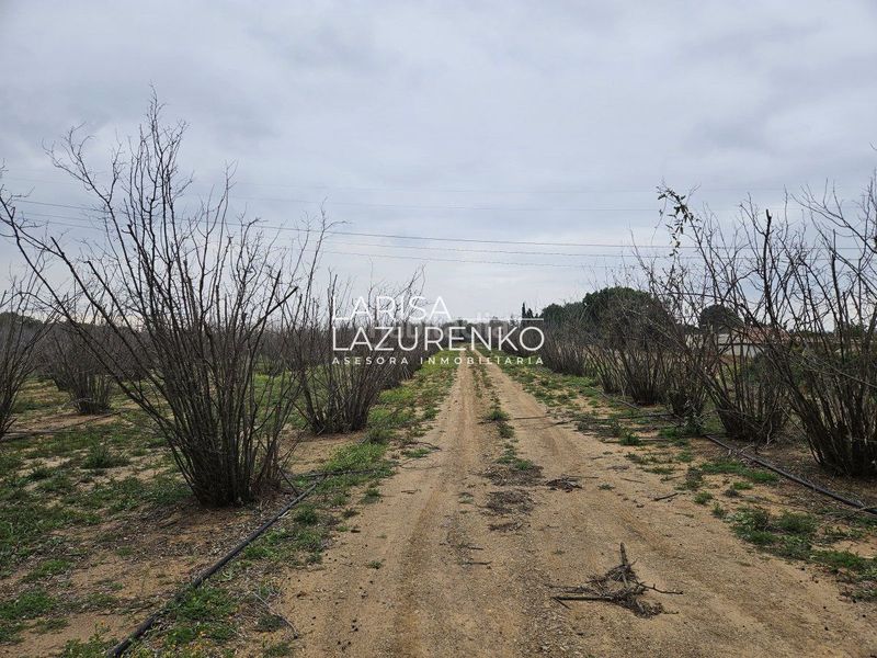 Foto a6571a6d-9932-40b7-b9cc-5eccf5cf6fec. Masia a Riudoms