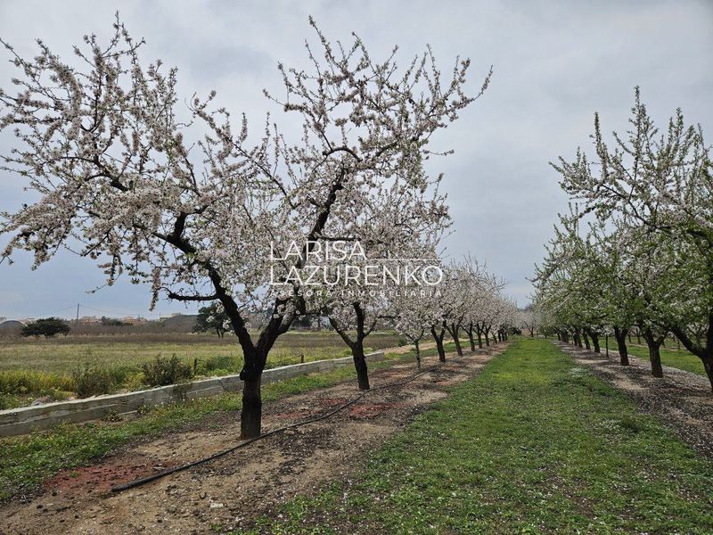Foto bdc9224a-fd6b-4915-bbfa-1c06f6fa1f03. Masia a Riudoms