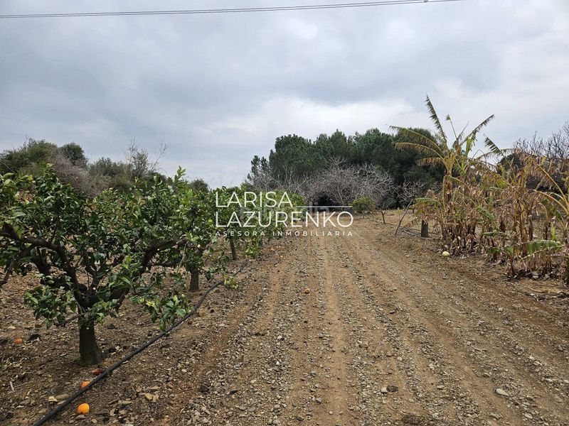 Foto c376abca-0ab1-42ce-85d9-8e3bdadb14bc. Masia a Riudoms