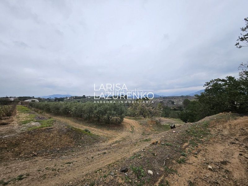 Foto c47e098d-053f-400c-b4fe-b135ddb3162b. Masia a Riudoms