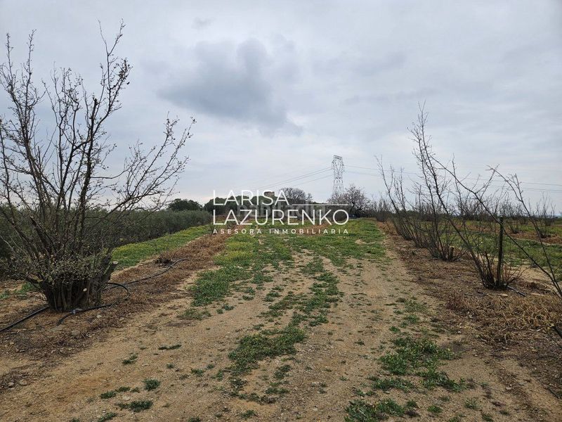 Foto ccdbf98c-2439-4416-aa28-ba3f34bd6f9a. Masia a Riudoms