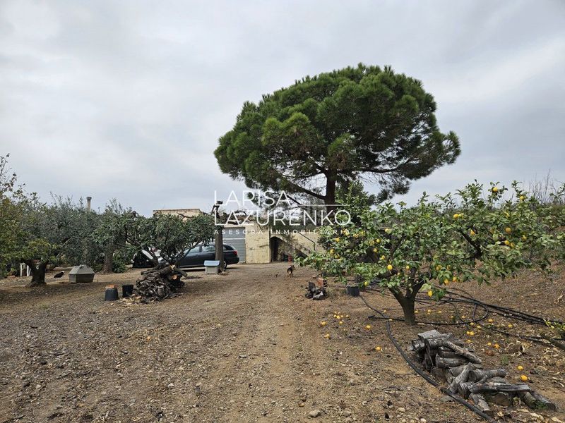 Foto e07043bc-0b41-46b8-addb-b065de80935e. Masia a Riudoms