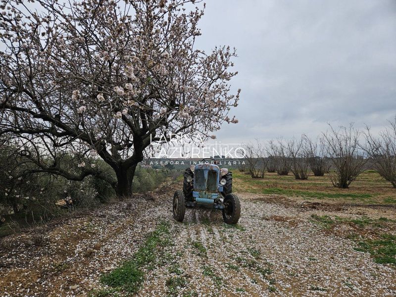 Foto ec36f8ca-c4d7-48b5-ad5c-da846f9ba325. Masia a Riudoms