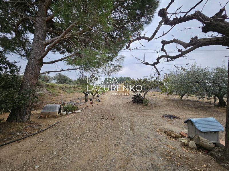 Foto f70fb2cb-d563-469d-980a-ae551a42c863. Masia a Riudoms
