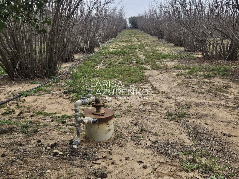 Foto fba51444-163c-467c-be80-7ebce63731d3. Masia a Riudoms