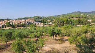 Bauernhof  N/a. Finca rúst. en venta en riudecanyes.