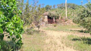 Masia  N/a. Finca rúst. en venta en riudecanyes.