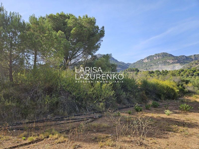 Foto d0385581-33d9-420e-acd8-aed427017115. Masia a Alforja