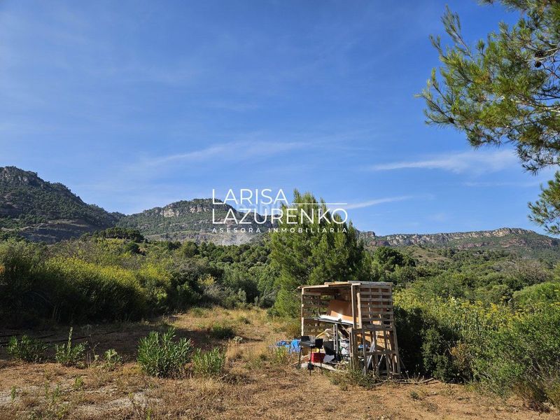 Foto e08663c2-3522-43af-b09d-e18d105ac768. Masia a Alforja