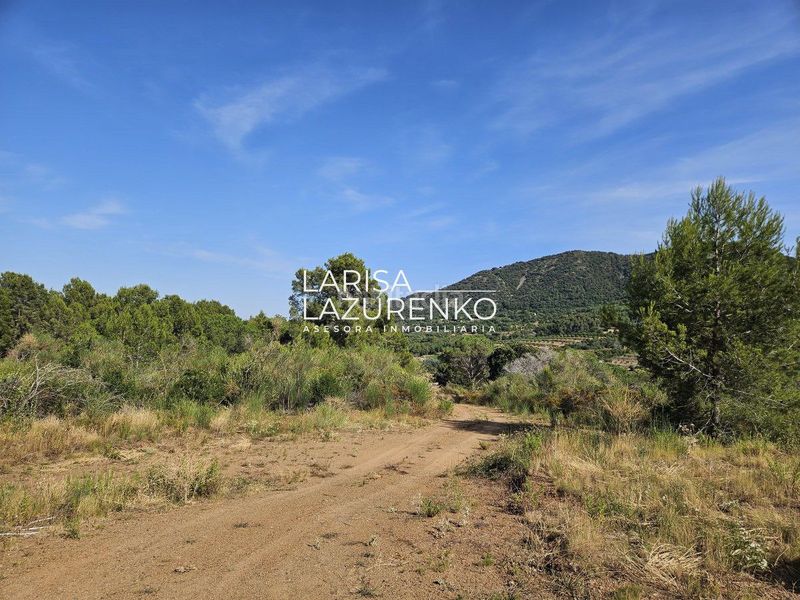 Foto ff0d03d2-c99a-44e9-9679-35210497b79f. Masia a Alforja