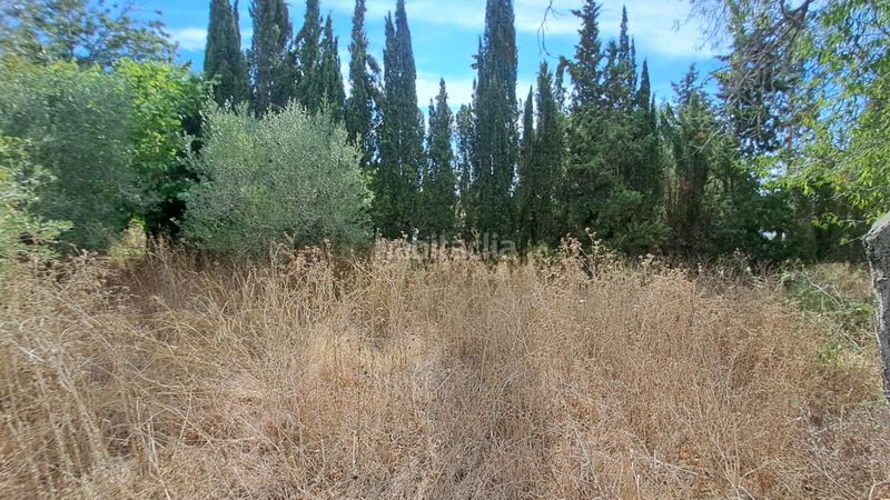 Foto 089ab9e3-a24a-468b-acea-f34e09329888. Masia a Selva del Camp (La)
