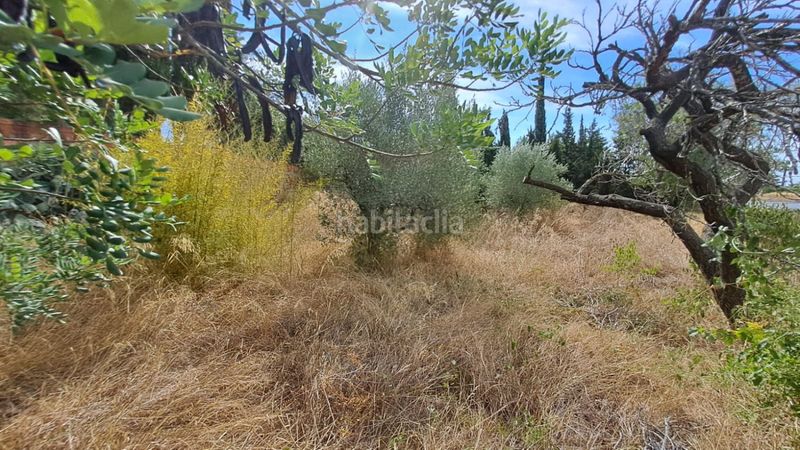 Foto 5ee72ac0-319f-429c-9e16-18cfae18d43f. Masia a Selva del Camp (La)