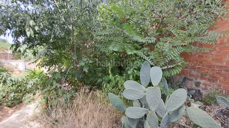 Foto a37eaf03-17cd-4651-9d89-4921b686fe00. Masia a Selva del Camp (La)
