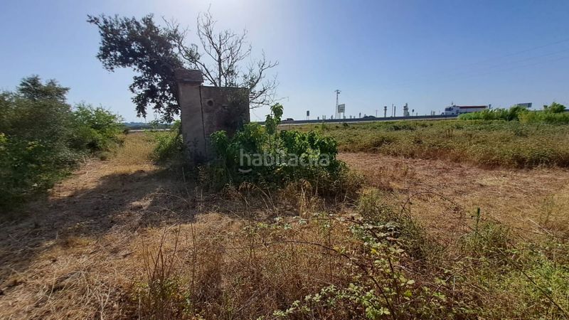 Foto d17efe39-27a4-43cd-95b1-2437e11fea5e. Masia a Morell (El)