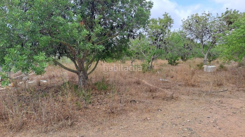 Foto 27578e37-88b9-4106-b402-b317d6dffc44. Masia a Vila-seca poble Vila-seca