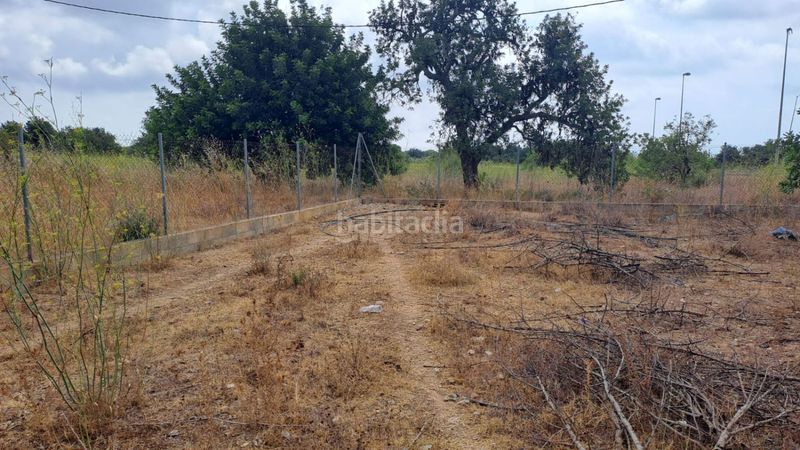 Foto 70dfcd32-8052-46e4-8f45-30a8b51eda4c. Masia a Vila-seca poble Vila-seca